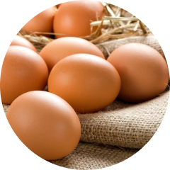 Egg free