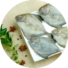 Fish free