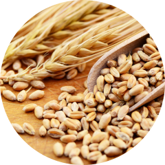 Gluten free