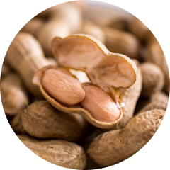 Peanut free