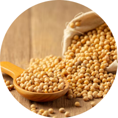 Soy free